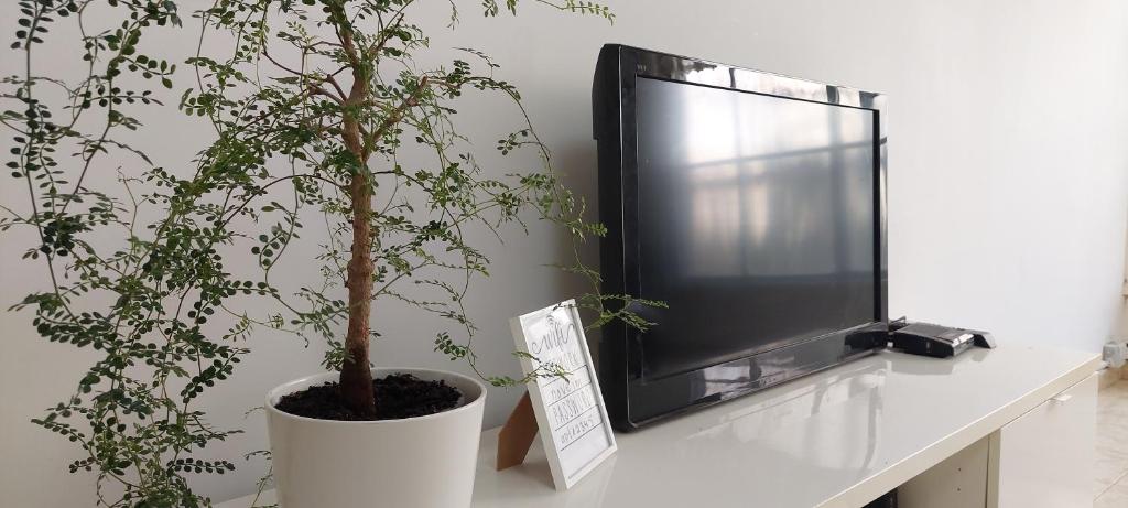 הנביאים 1 נתניה Naveim apartment, Netanja