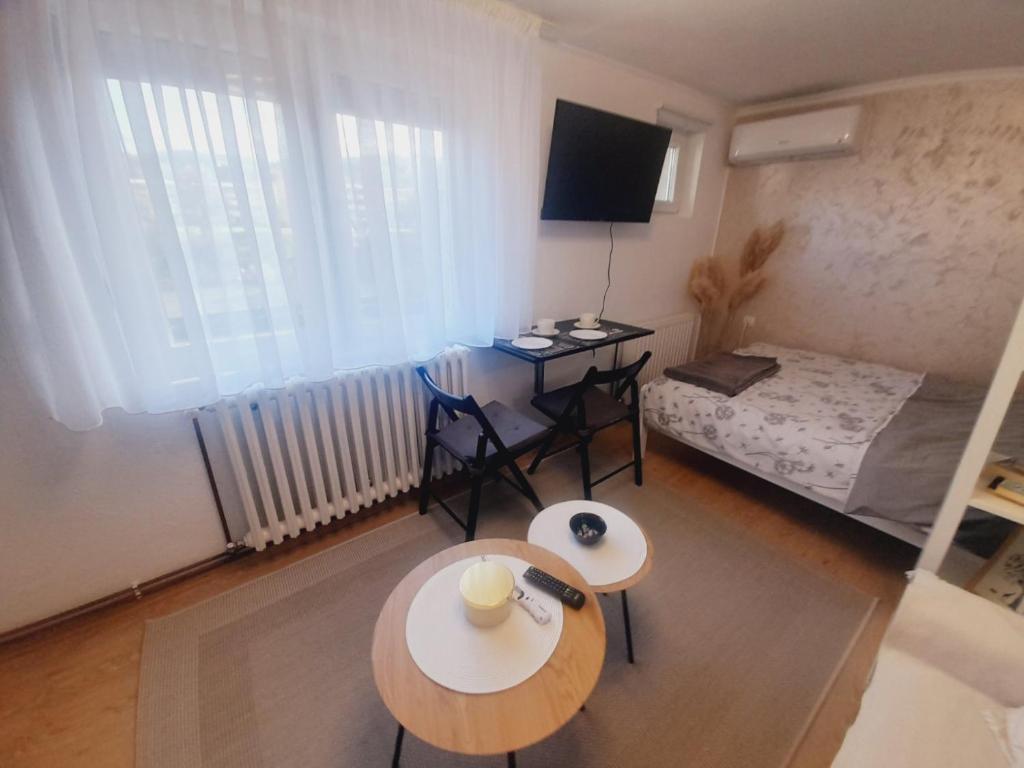 Studio Apartman - 5