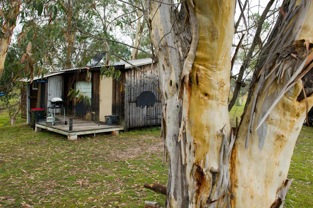 Rustic Cabin with moon bathing for a city escape, Corang