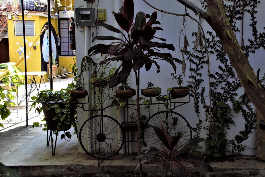Yellow flat-estudio Oaxaca Centro - 4
