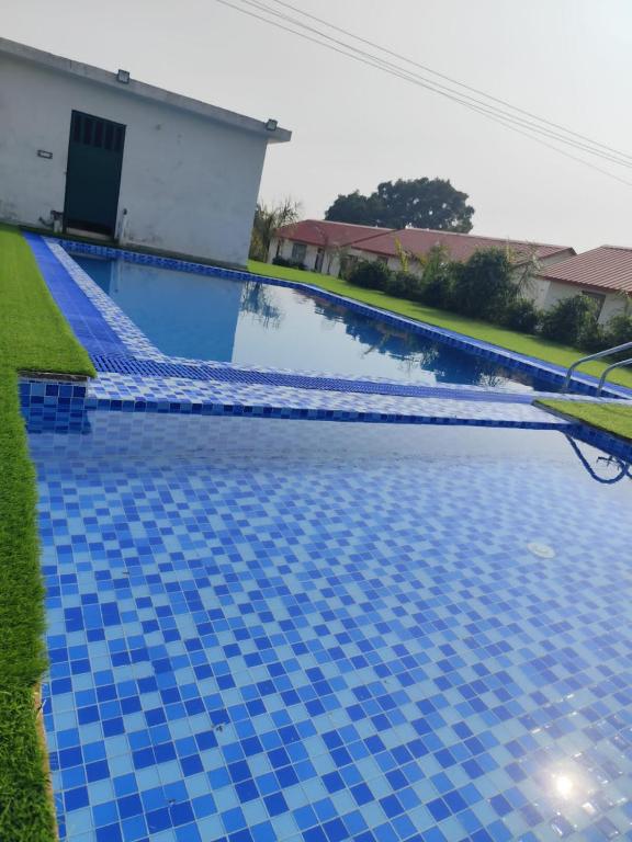 Brar Tiger Resort Corbett의 아름다운 야외 수영장과 정글 배경