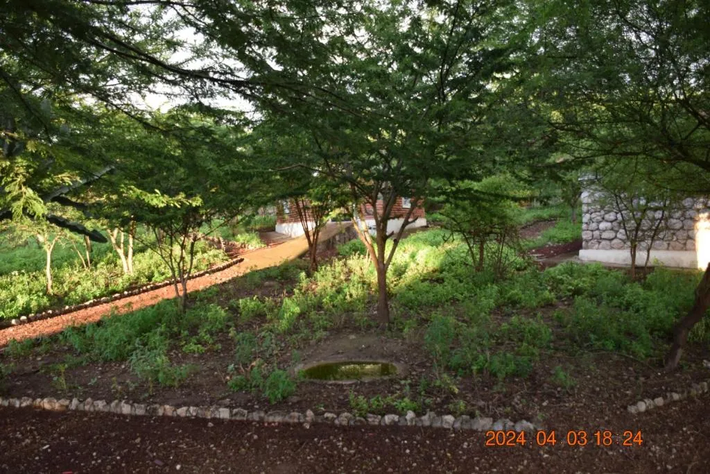 Mwi Village House, hotel in Mto wa Mbu