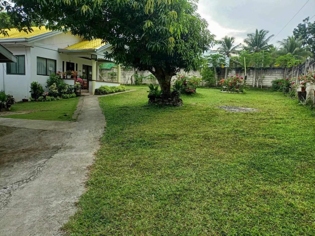 Surrounding environment