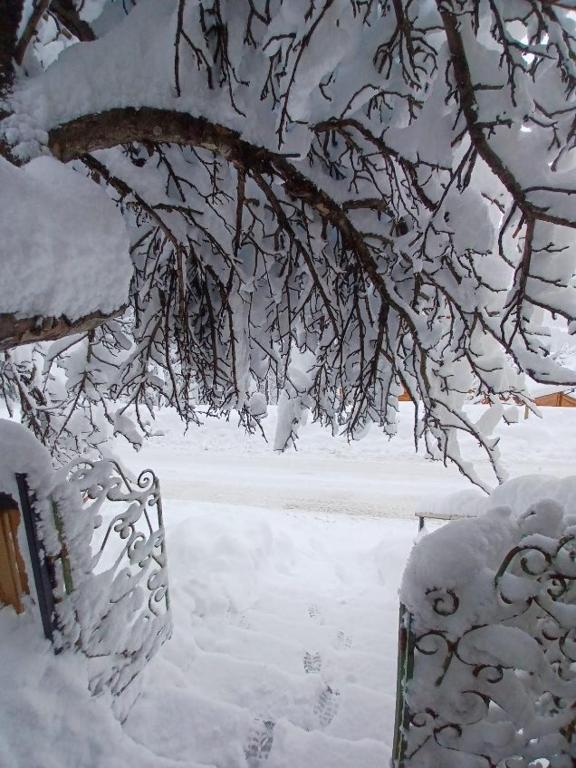 CHALET FAMILIAL AURON - 3