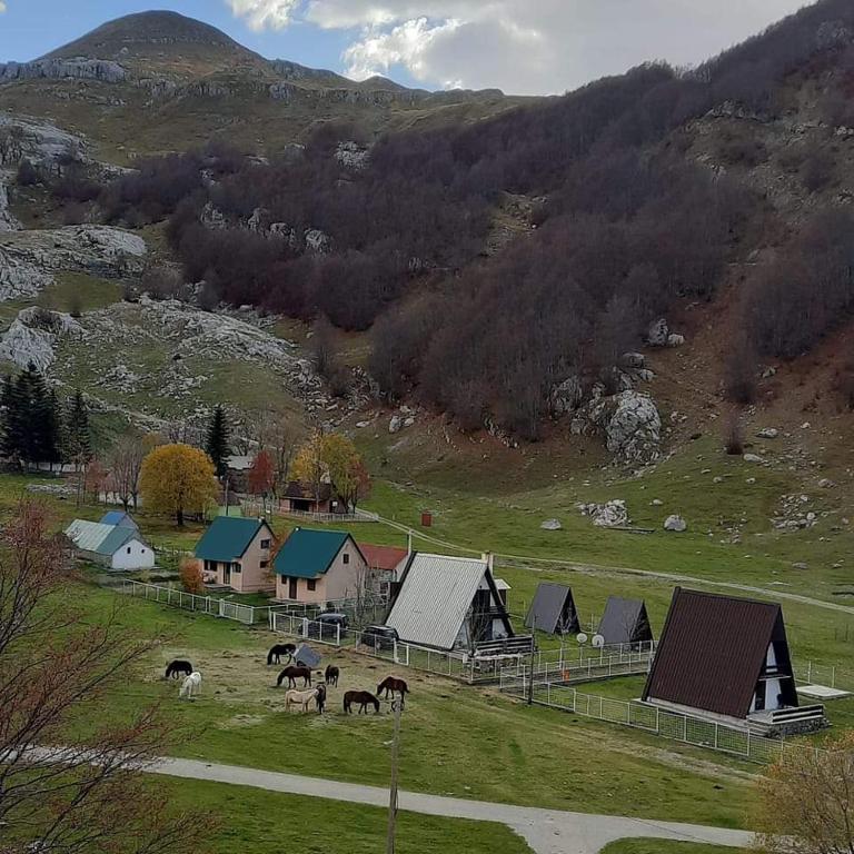 Katun Mokra accommodation & horseback riding - 2