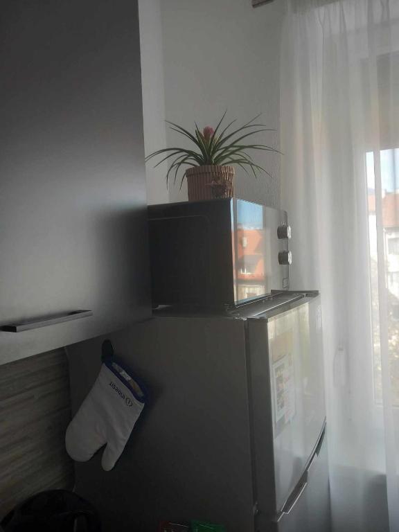 Apartman DEA - 5