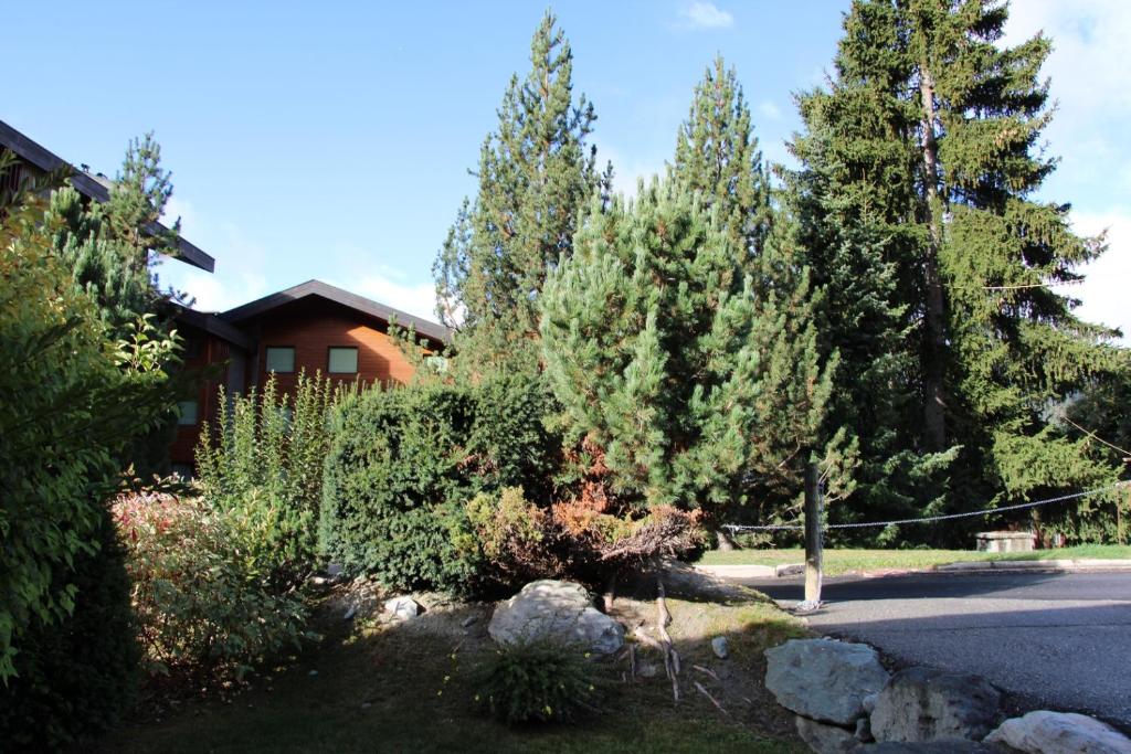 Four Seasons 1 - 1 bedroom apartment - 3