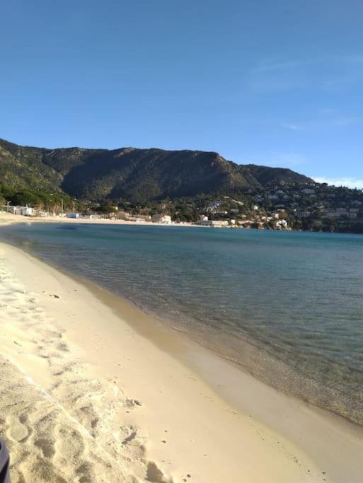 A few steps from the beach, very comfortable - 5