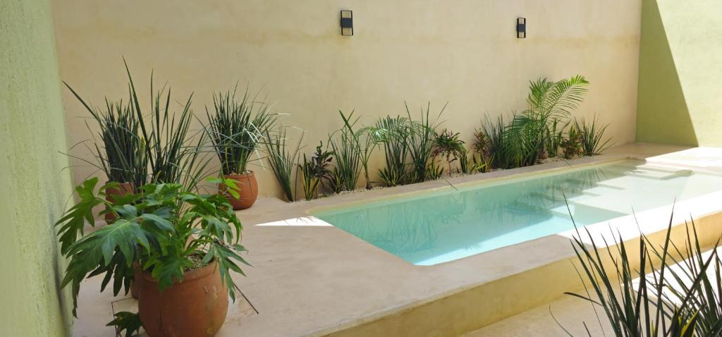 Casa Zogo Origen - 1