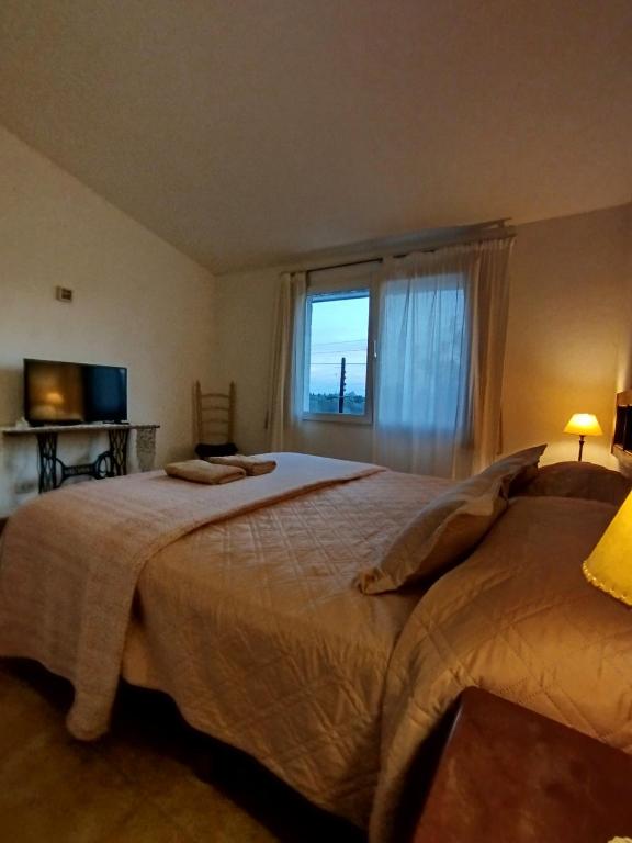 LA CASA Nostra - 5