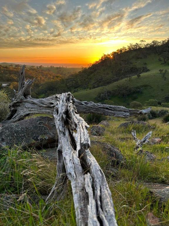 Kaiser Ridge - eco stay, Bethany