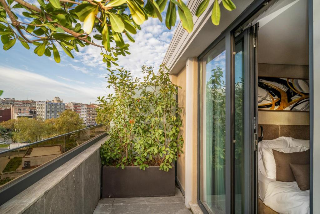View, Rayelin Hotel Old Town in İstanbul