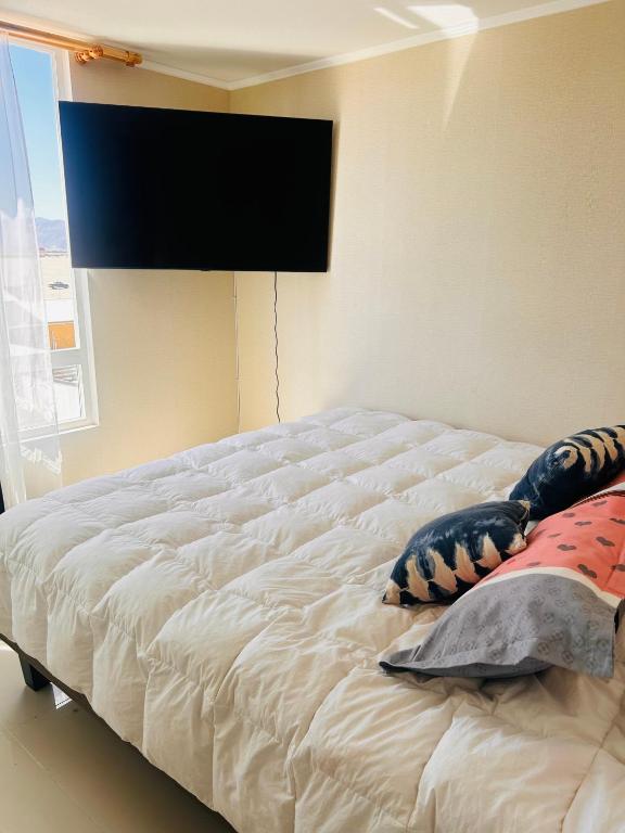 Departamento Mejillones - 5