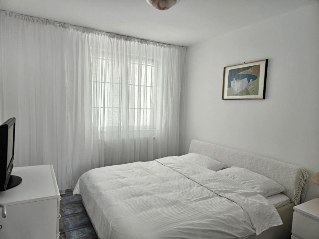 Victoriei 7, Temešvár