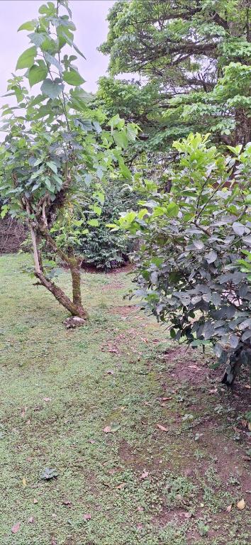 Suíte Barracuda 10, Ubatuba