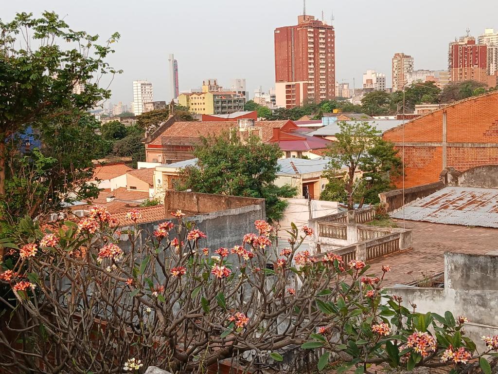 Casa mosaico - 2