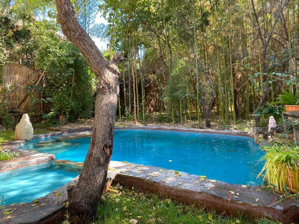 Elquihostel - 1