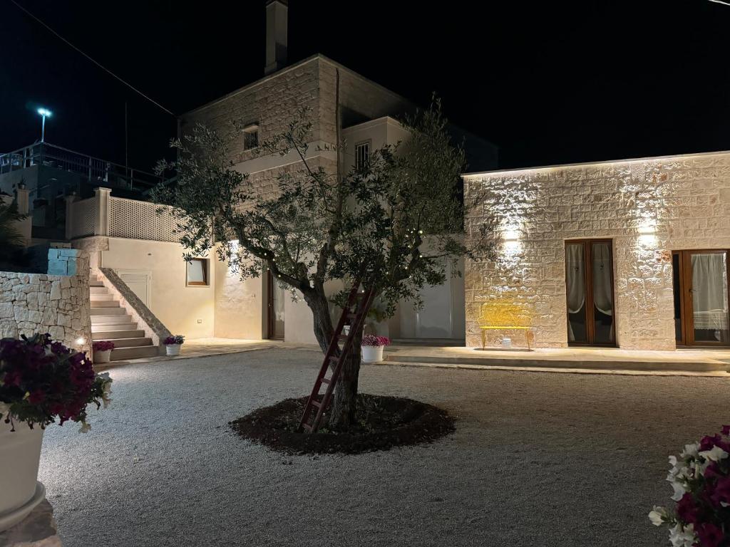 L'Ulivo Nascosto - 1