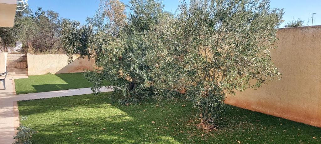 Gianni & Sophia airport house, Artemida