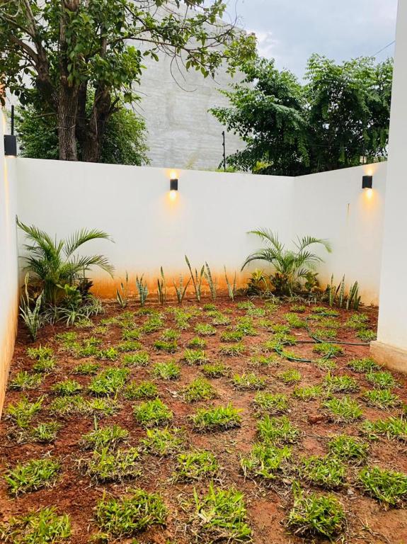 Duplex Luque - 4