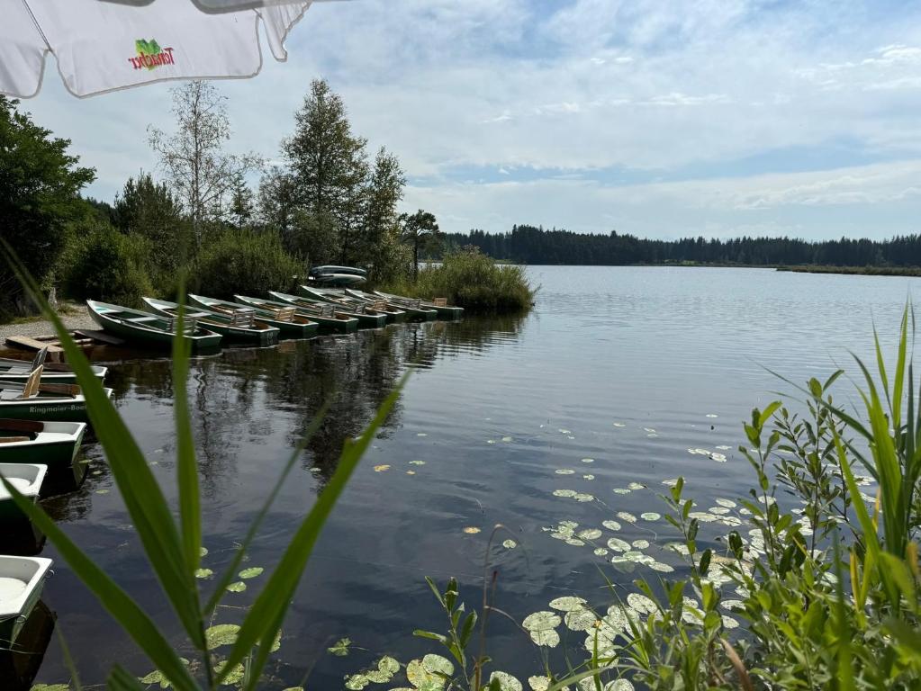 ma suite - idyllisch & modern apartment 2-4 P - 4