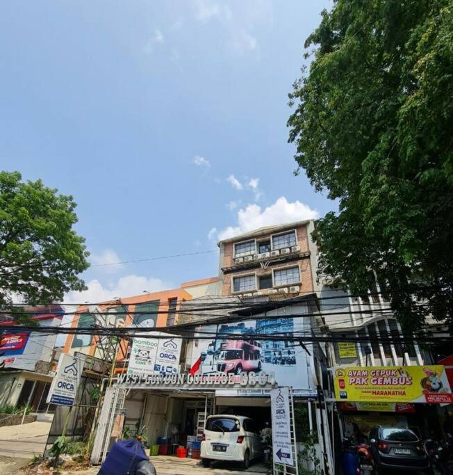 Golden Reindeer City Studio