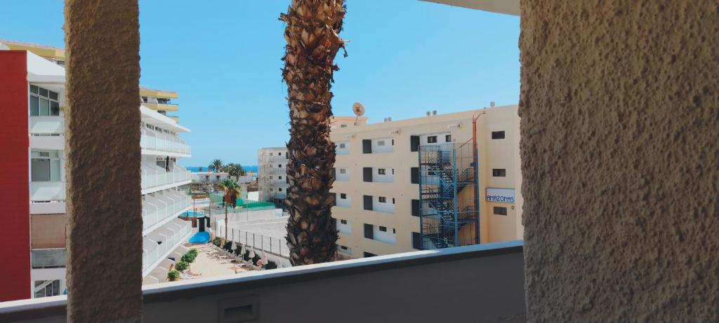 Los Juncos 401 Maspalomas - 3