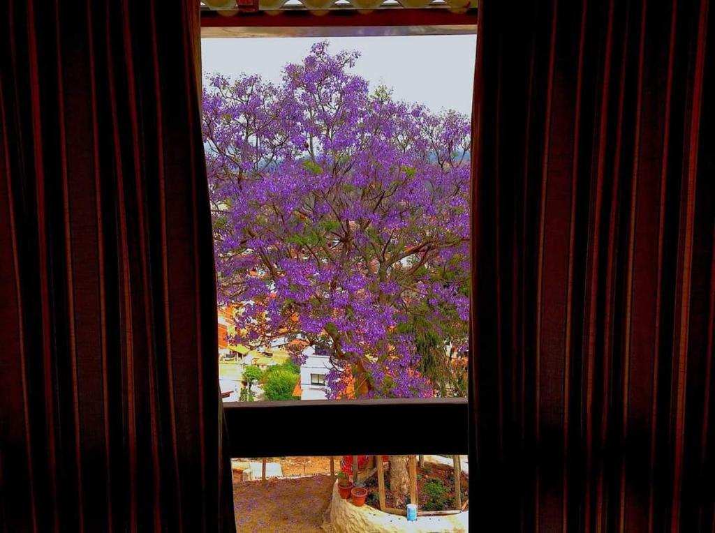 Hermoso departamento con la mejor vista de Sucre 1 - 5