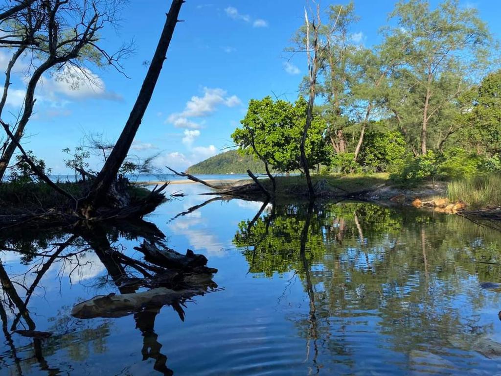 Surrounding environment