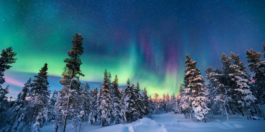 Secret Lapland - Luxury Villa Siida with Northern Lights Hut, Pyhätunturi