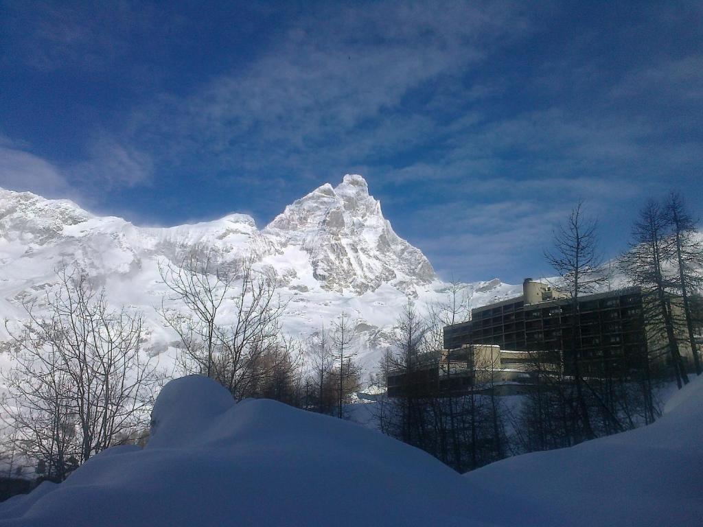 Alpine Treasure - 3