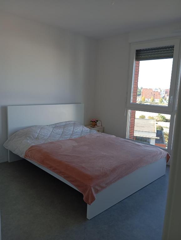 Chambre d'hôtes pour les filles, Bed & Breakfast Toulouse
