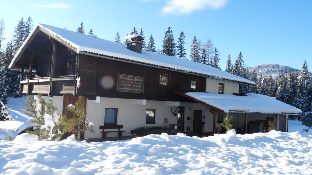 Ferienhaus Schäfer - Apartments - Wintersports - Family holiday - Holiday with your dog - Rural & Scenic - 4