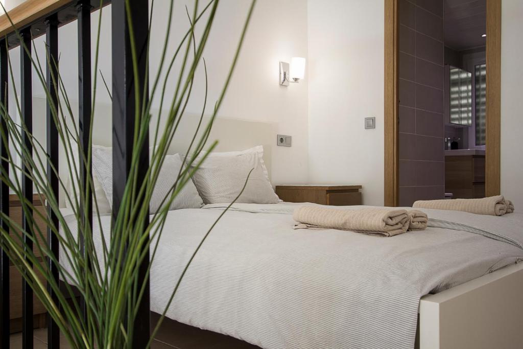Beautiful studio in Miraflores - 2