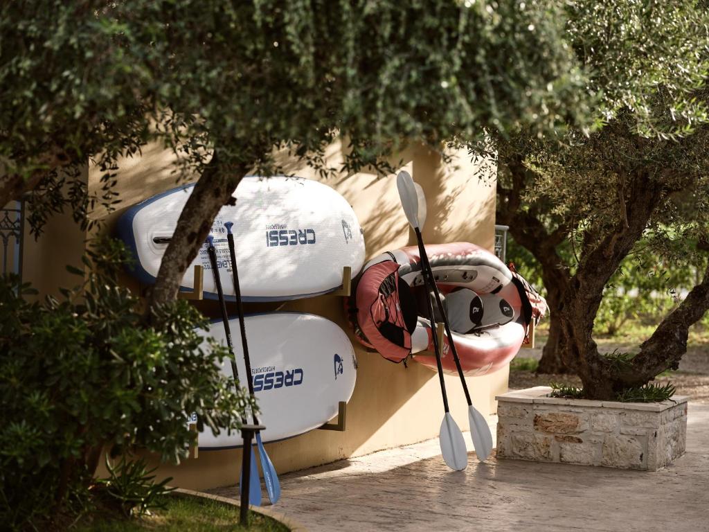Memories Apartments — Sports & recreation in Laganas, Ionian Islands
