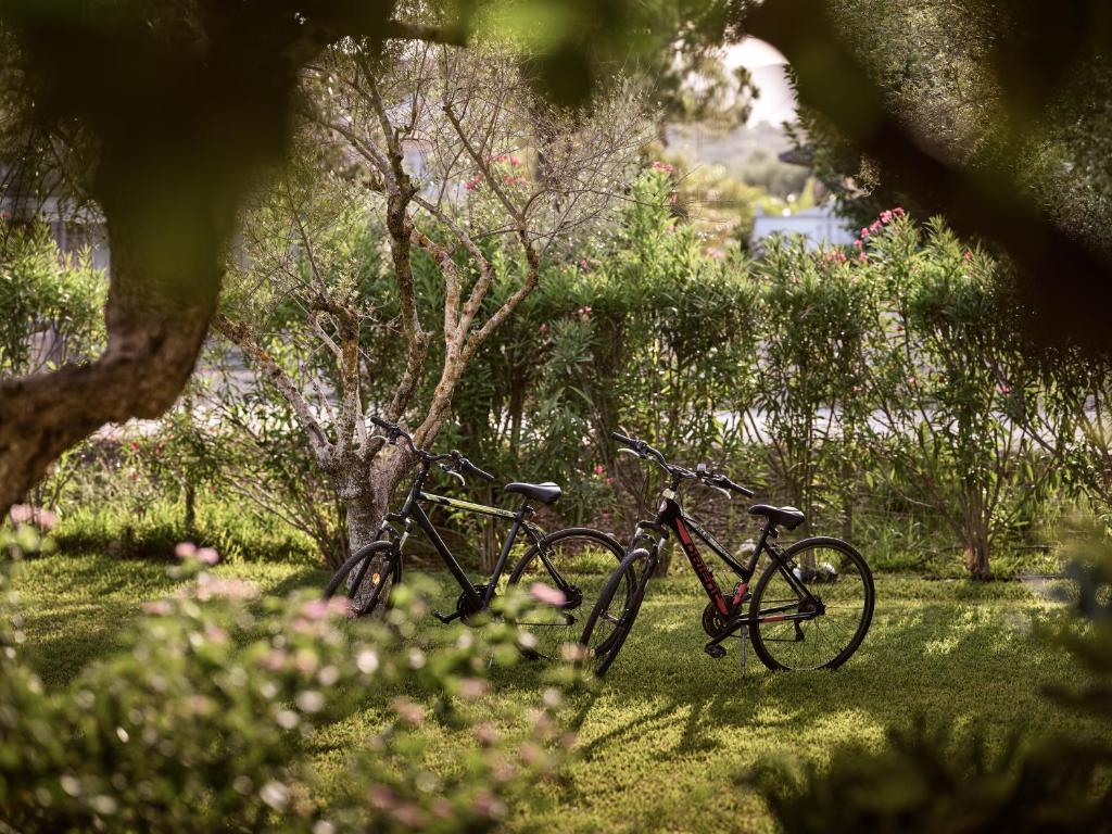 Memories Apartments — Sports & recreation in Laganas, Ionian Islands