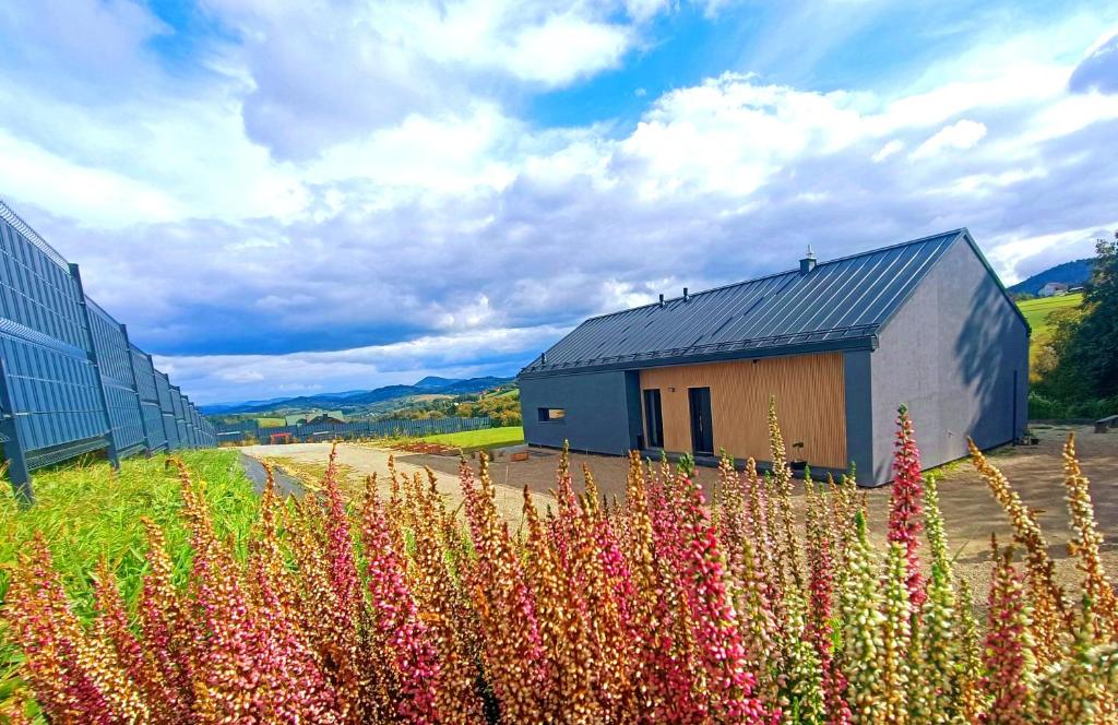 Rosochata 313 Domek w górach z Sauną Jacuzzi Basenem Panieński ruska Bania, Mogilno