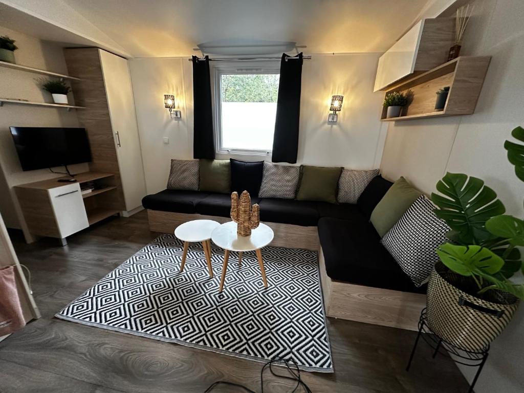 Grand Mobil Home Tout Confort pour 6 personnes - Camping Les Oyats 4 étoiles - 1