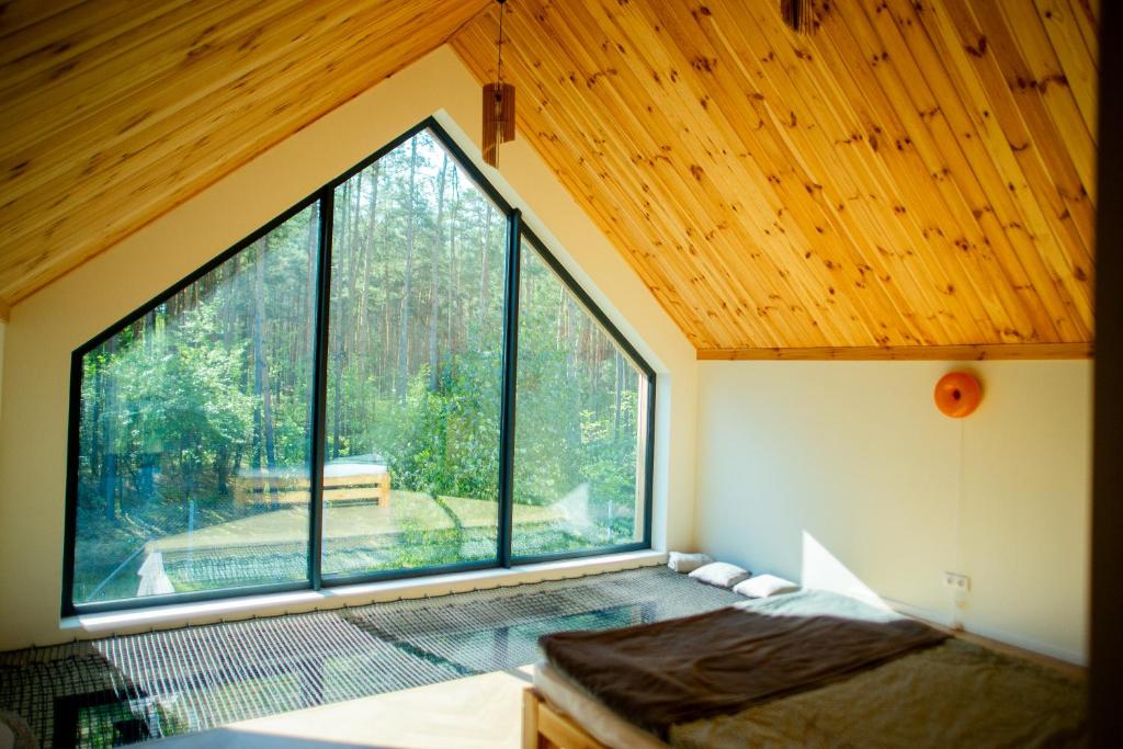 Lasownia Dom Sójka, Wielęcin