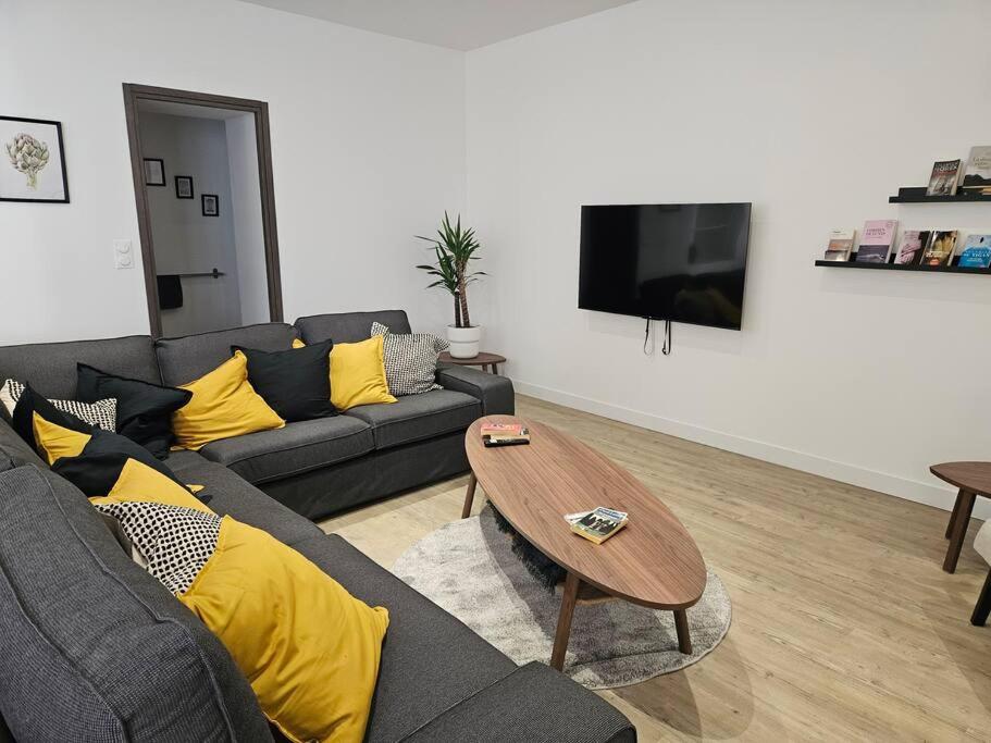 Belle Maison Loft patio jacuzzi clim Tours - 5