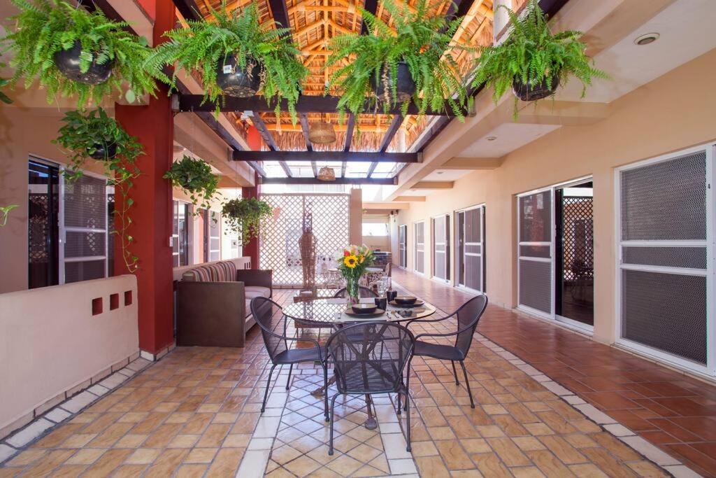 Terraza Studios, Cabo San Lucas