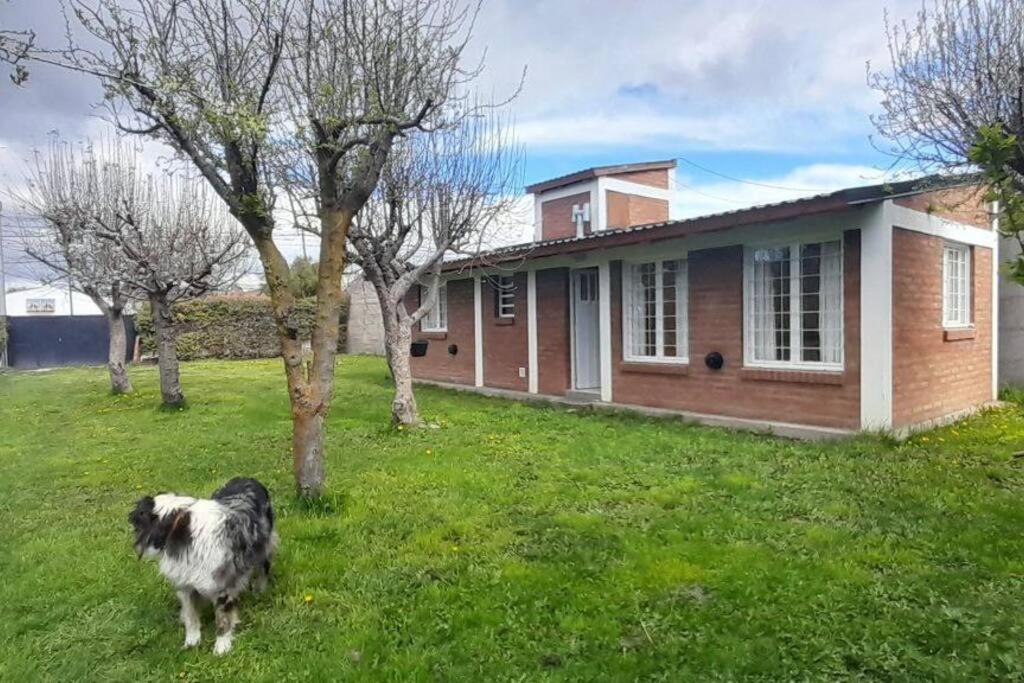 Cálida casa con jardín en Esquel - 3