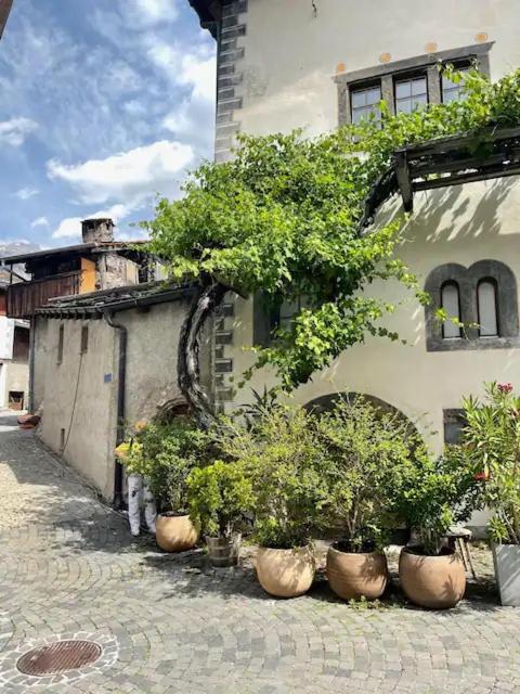 Stay in the Heart of Wallis - 4
