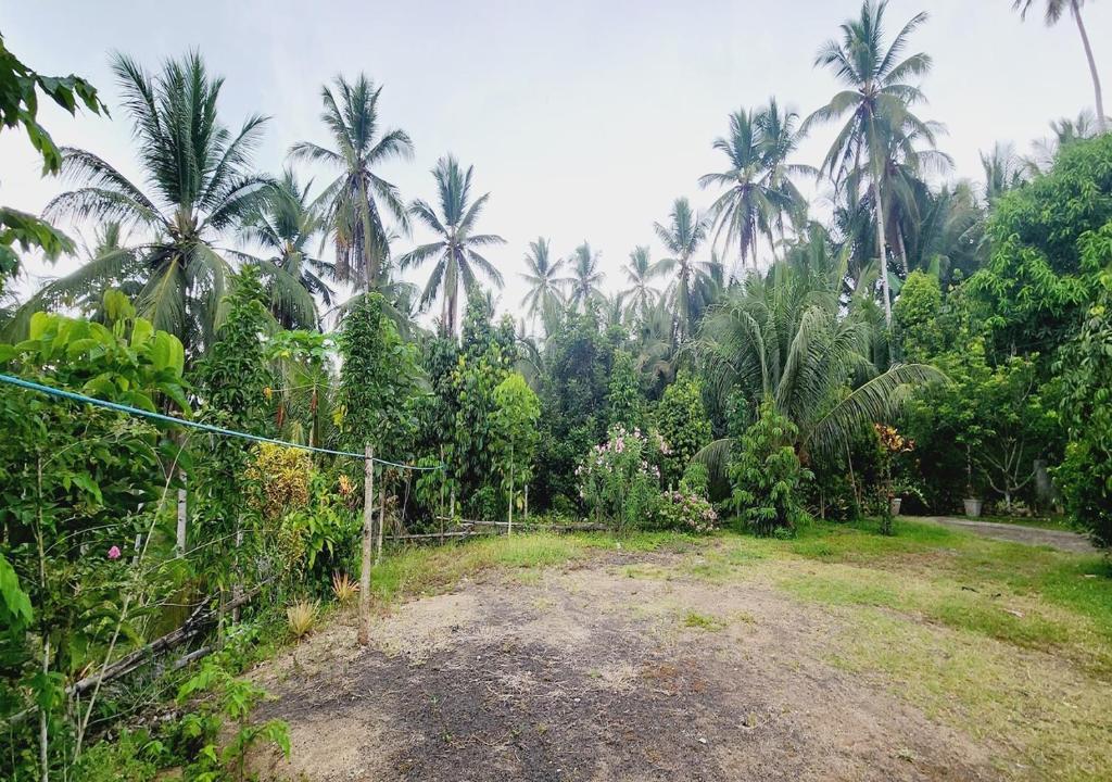 Pondok Wisata Tasya Marawuwung