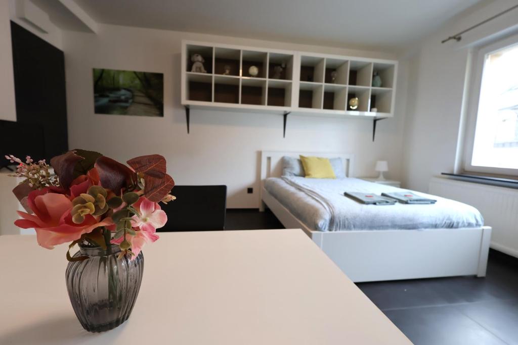 Apartment near train station, Lucemburk