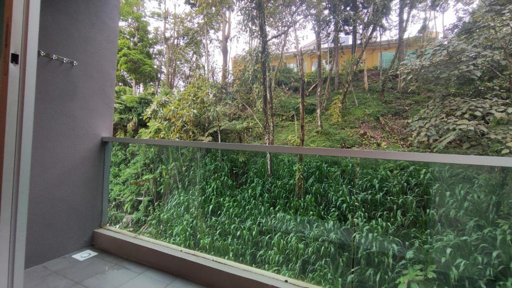 Surrounding environment