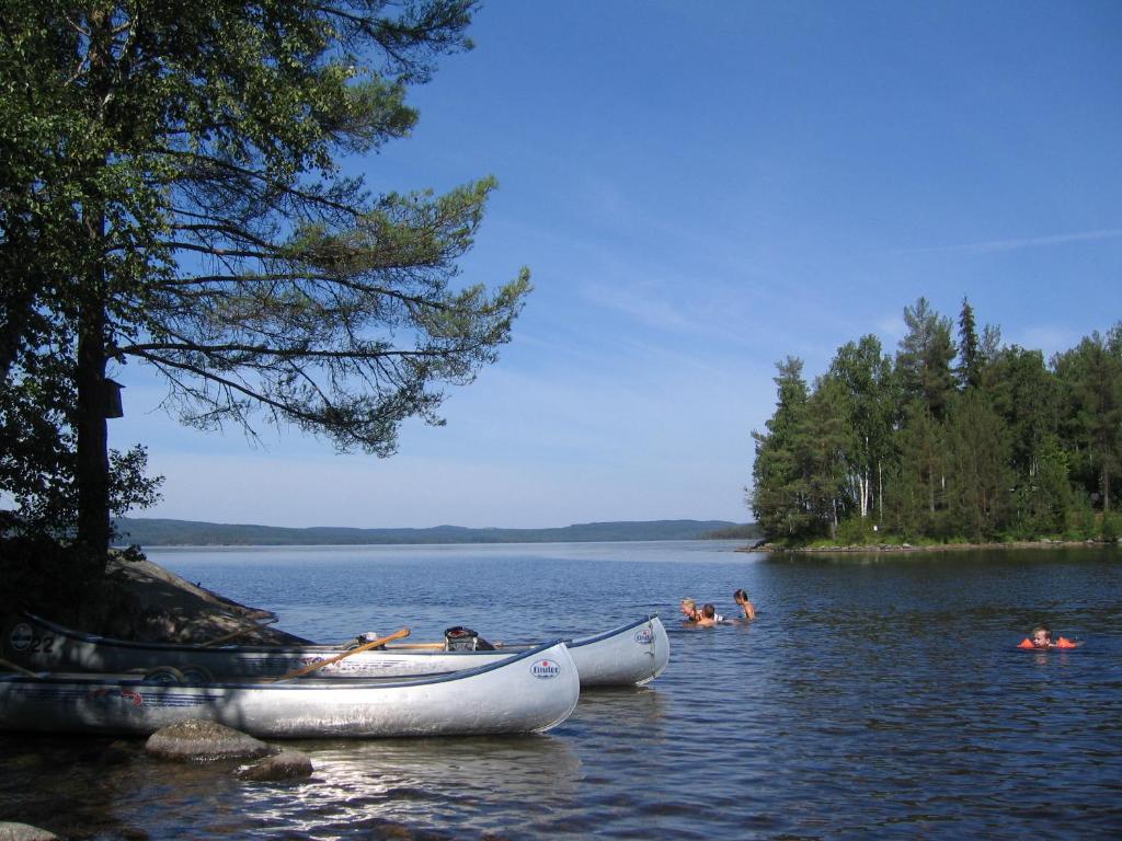 Surrounding environment