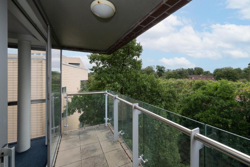 Surrounding environment