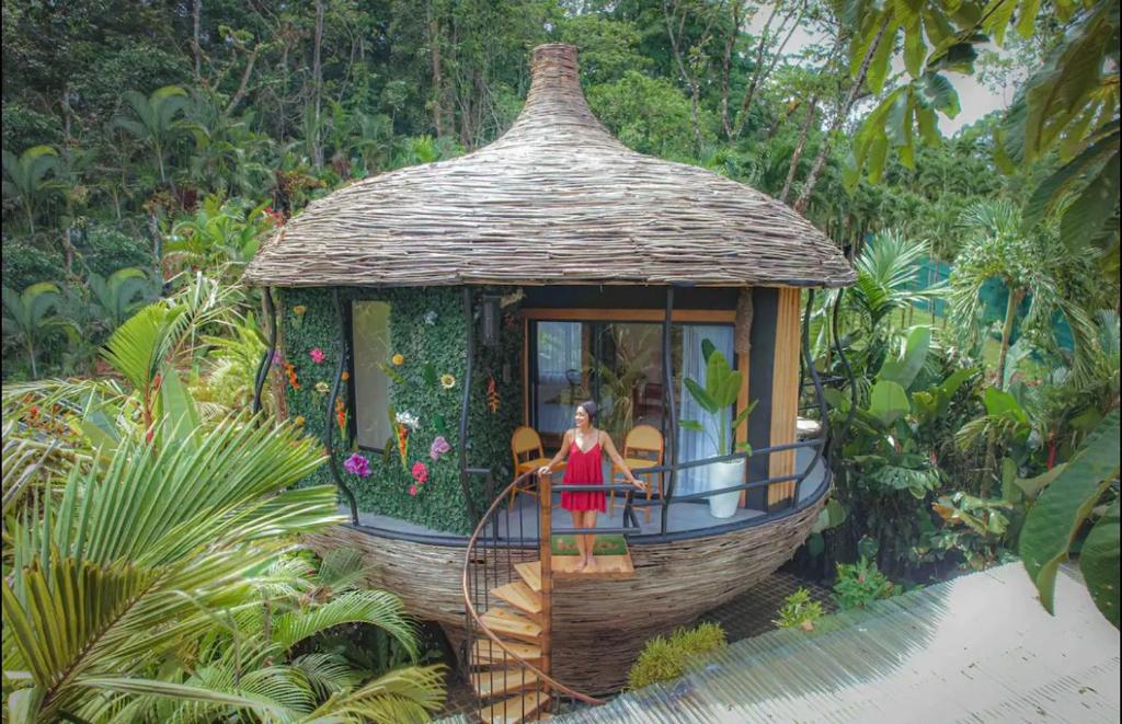 Arenal Nest, San Francisco