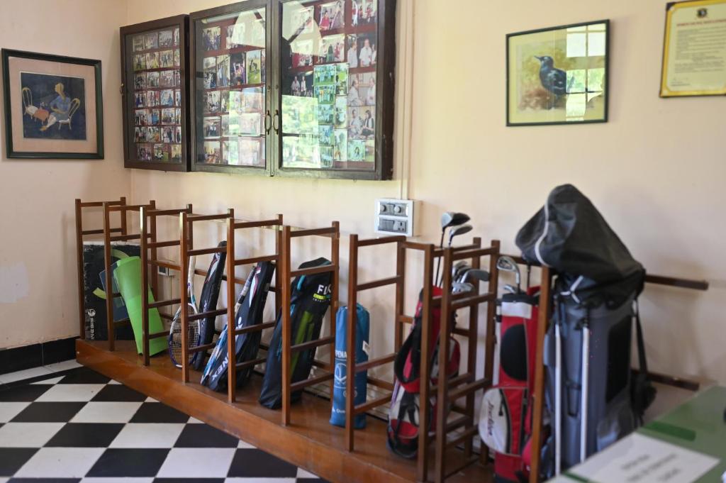 アクティビティ